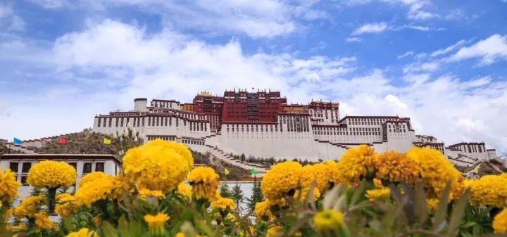 丁毅：他创互助旅行平台，藏人领4.8万旅行家朝圣
